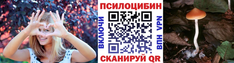 Галлюциногенные грибы MAGIC MUSHROOMS  купить наркоту  мега как зайти  Андреаполь 